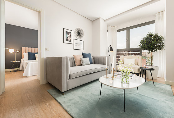 Luxury apartment for rent Madrid - Ana de Austria IV