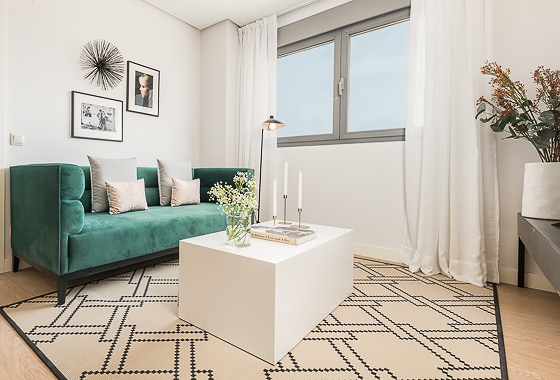 Luxury apartment for rent Madrid - Ana de Austria VI