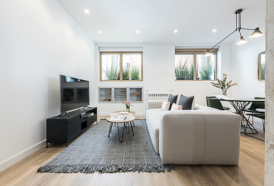 Luxury apartment rentals Madrid - Conde de Peñalver VII 