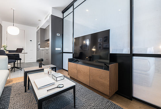 Luxury apartment rentals Madrid - Colomer VIII
