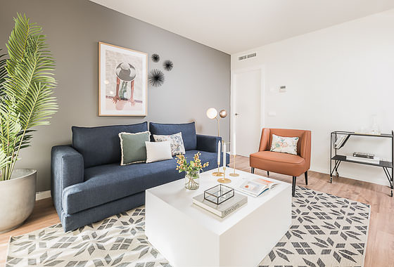 Luxury apartment rentals Madrid - Jardines de Tetuán XIX
