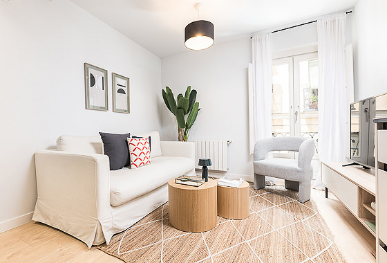 Luxury apartment for rent Madrid - San Carlos XI