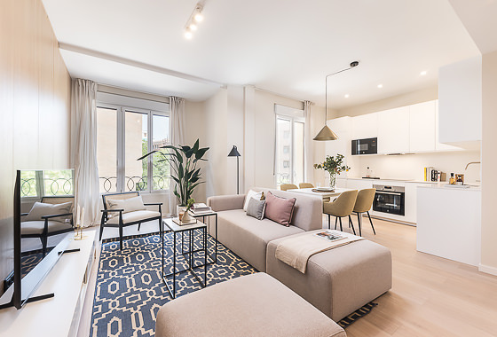 Luxury rentals Madrid - Santa Engracia XI