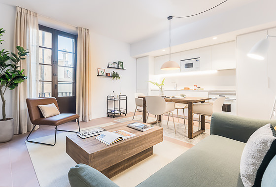 Luxury apartment for rent 