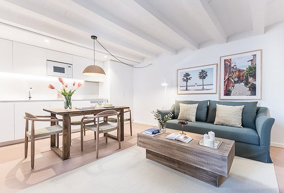 Luxury apartment rentals 