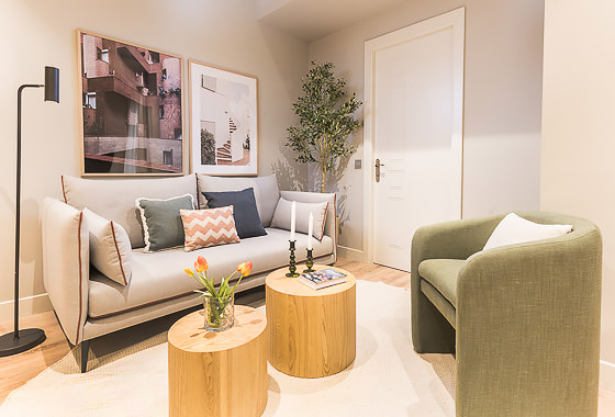 Luxury holiday rentals Madrid - 