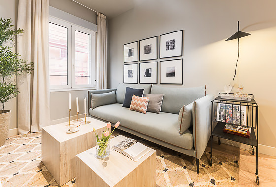 Luxury rentals Madrid - 