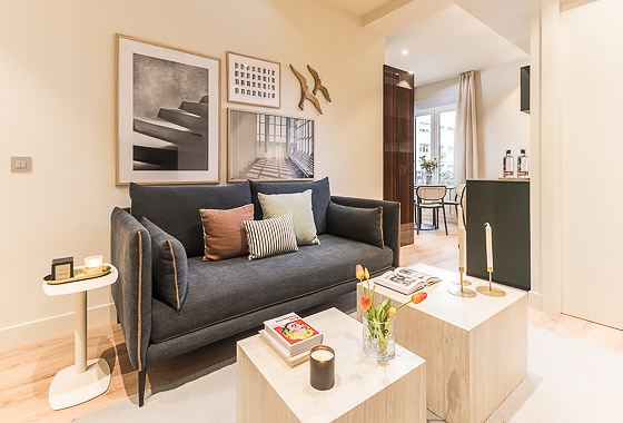 Luxury holiday rentals Madrid - 