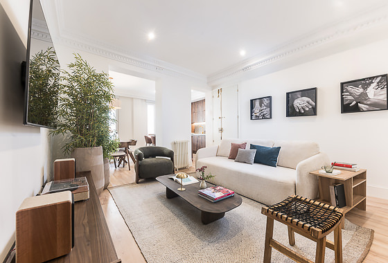 Luxury rentals Madrid - 