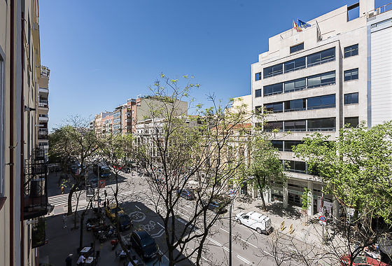 TERRACE Ortega y Gasset XLIV