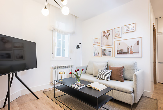 Luxury holiday rentals Madrid - 