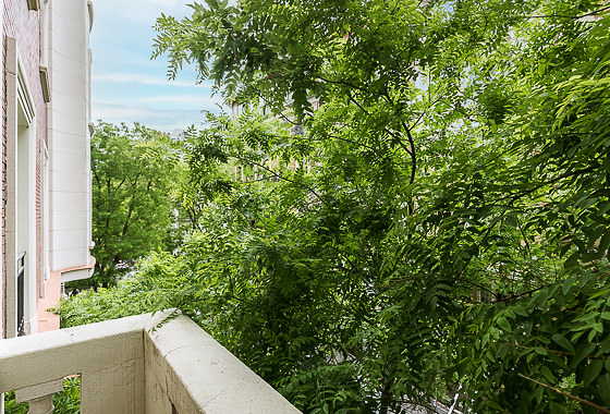 TERRACE Hermosilla LIII