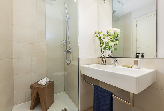 BATHROOMS Ana de Austria XVII