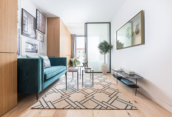 Luxury apartment for rent Madrid - Juan Bravo V